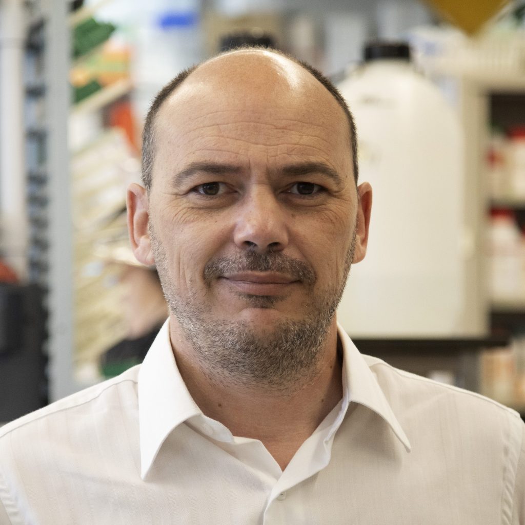 Mestrado em Medicina pela Faculdade de Medicina da Universidade de Lisboa Doutoramento em imunologia na Universidade de Oxford. 
Dirige um grupo de investigação no IMM e é coordenador da Comissão Técnica de Vacinação contra COVID-19 e Gripe da DGS. 

