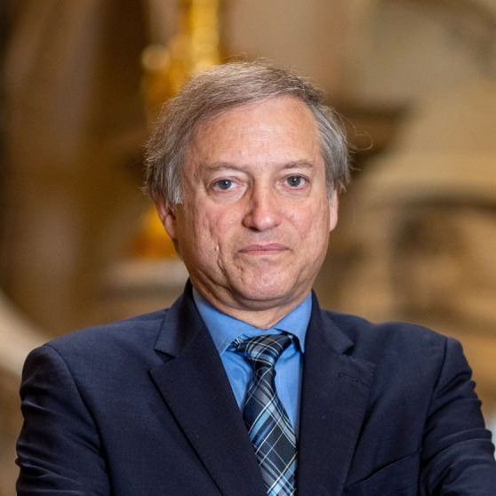 Médico Gastrenterologista, Hepatologista, Adictologista Clínico e Professor da FMUL. 
Regente da Cadeira de Profissionalismo, Conselheiro do Conselho Geral da Universidade de Lisboa e Diretor Clínico dos Cuidados de Saúde Hospitalares da Unidade Local de Saúde Santa Maria. 
Foi Presidente da Sociedade Portuguesa de Gastrenterologia, Associação Portuguesa para o Estudo do Fígado, Colégio de Hepatologia da Ordem dos Médicos. 
Medalha de Mérito da Ordem dos Médicos. 

